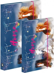 Zestaw pudełek na zeszyty A4 i A5 – koń