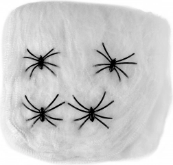 Dekoracja Pajęczyna z Pająkami