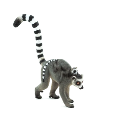 Mojo lemur z młodym