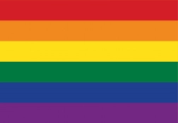 Grafika puzzle Pride Edition 1000 elementów