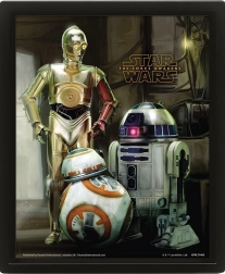 Obraz 3D STAR WARS: Droids