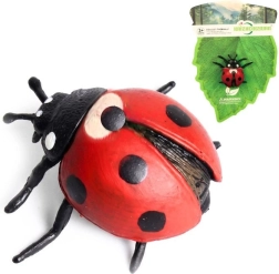 Biedronka siedmiokropka 5 cm