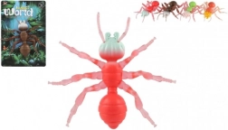 Antystresowa Mrówka