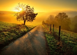 Ravensburger puzzle Poranek w złotych promieniach 1000 elementów