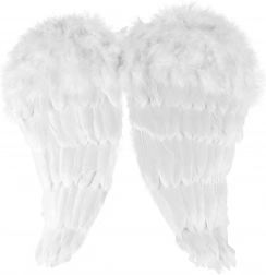 Anielskie skrzydła z piórami
