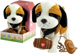 Interaktywny Bernardyn na smyczy z budą