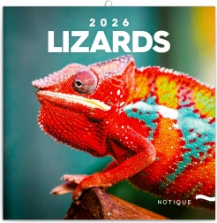 Kalendarz notatkowy Jaszczurki 2026