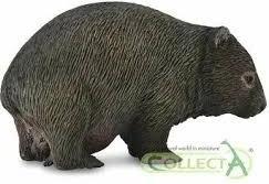 Kolekcja Wombat Niedźwiedziook Collecta