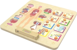 Edukacyjna tablica ludzkiego ciała Masterkidz Montessori