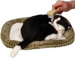 Adoptuj mnie – oddychająca czarno-biała kotka