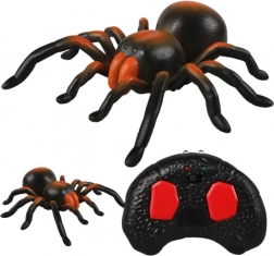 RC tarantula – pająk zdalnie sterowany ze świecącymi oczami