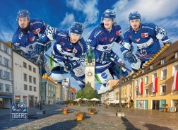 Puzzle STRAUBING TIGERS 1000 elementów od EUROGRAPHICS