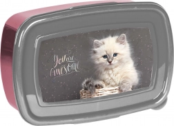 Paso pudełko śniadaniowe z kotkiem 750 ml