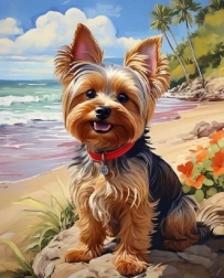 Norimpex Malowanie po numerach Yorkshire na plaży 40 × 50 cm