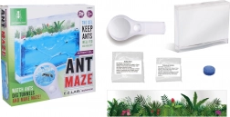 Farma mrówczy z żelem odżywczym