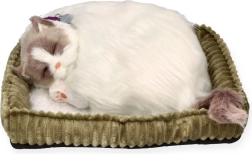 Oddychający kotek ragdoll Perfect Petzz