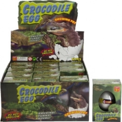 Jajko z rosnącym krokodylem do wody