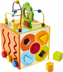 Bino kostka motoryczna