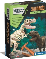 Skamieliny - T-Rex
