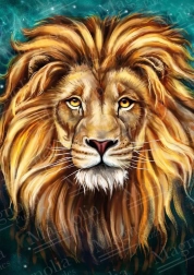 Puzzle lew 1000 elementów MAGNOLIA