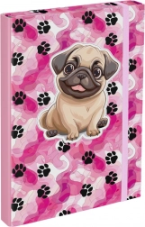 Teczki na zeszyty szkolne Psi Patrol A4