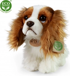 Pluszowy pies King Charles spaniel 25 cm