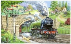 HOP Puzzle Obserwowanie pociągów 250 elementów