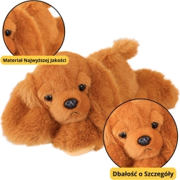 Pluszowy pies Cocker Spaniel z obciążanymi łapkami, brązowy 30 cm