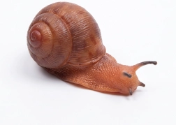 Gumowy ślimak 13 cm