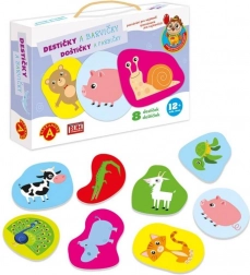 Alexander poznawanie dla najmłodszych – płytki kolorki