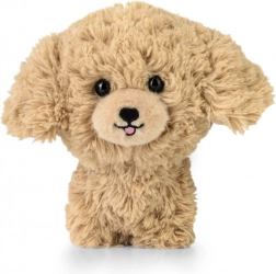 Pluszak TEDDY PETS – złoty pudel