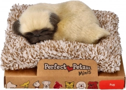 Mały szczeniaczek mops Perfect Petzzz