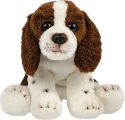 Pluszowy pies spaniel
