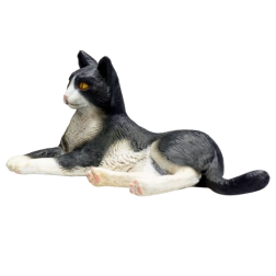 Czarno-biała leżąca kotka Mojo