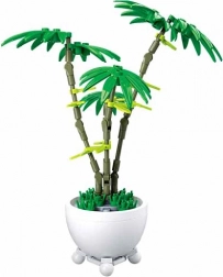 Sluban kwiat w doniczce – zielona palma