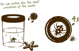 Navir Explora duży kubek do obserwacji owadów