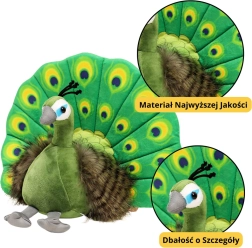 Pluszowa zabawka Elegancki Paw zielony 30 cm