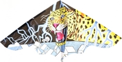 Latawiec dla dzieci 115 × 72 cm