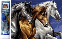 Malowanie diamentowe Dziki trio 30 × 40 cm