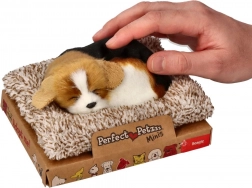 Szczekający beagle na legowisku