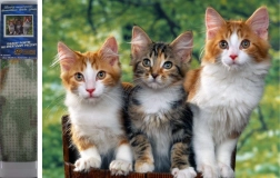 Norimpex Diamentowe Malowanie Koty 30x40 cm