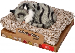Perfect Petzzz mały szary pręgowany kociak
