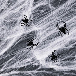 Biała halloweenowa pajęczyna z pająkami