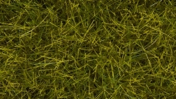 Noch trawa statyczna dzika łąka 12 mm