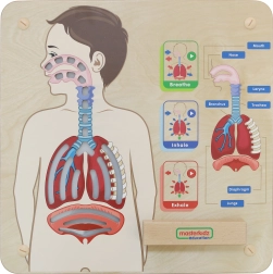 Drewniana tablica edukacyjna Oddychanie od Masterkidz