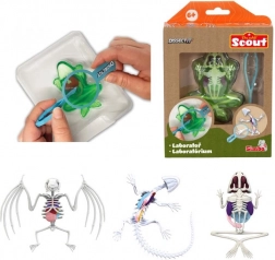 Mini laboratorium sekcji – żaba, salamandra lub nietoperz