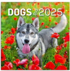 Kalendarz ścienny z miejscem na notatki Psy 2025 30 × 30 cm