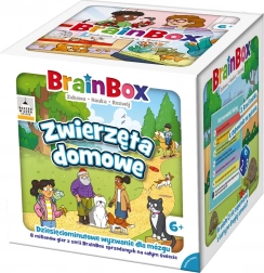 BrainBox – zwierzęta domowe (gra edukacyjna dla dzieci od 6 lat)