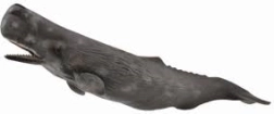 Wieloryb z kolekcji Collecta