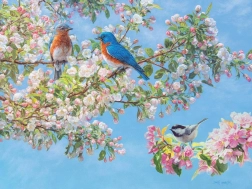 Puzzle Kwiatowy Festiwal XL 275 elementów od Cobble Hill